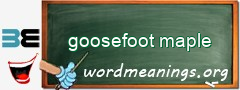 WordMeaning blackboard for goosefoot maple